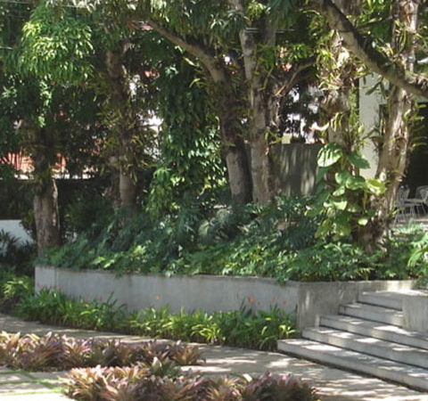 Centro de Arte Los Galpones, 2008-2009  